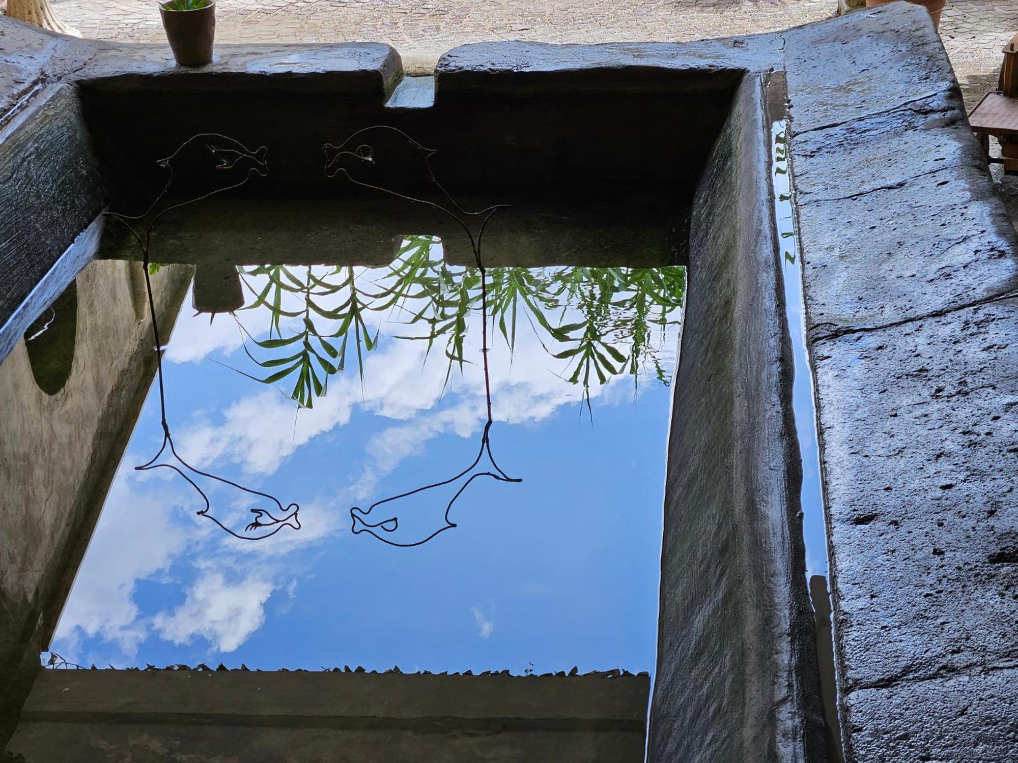 L' Antico Lavatoio Bed and Breakfast Rignano Flaminio Buitenkant foto