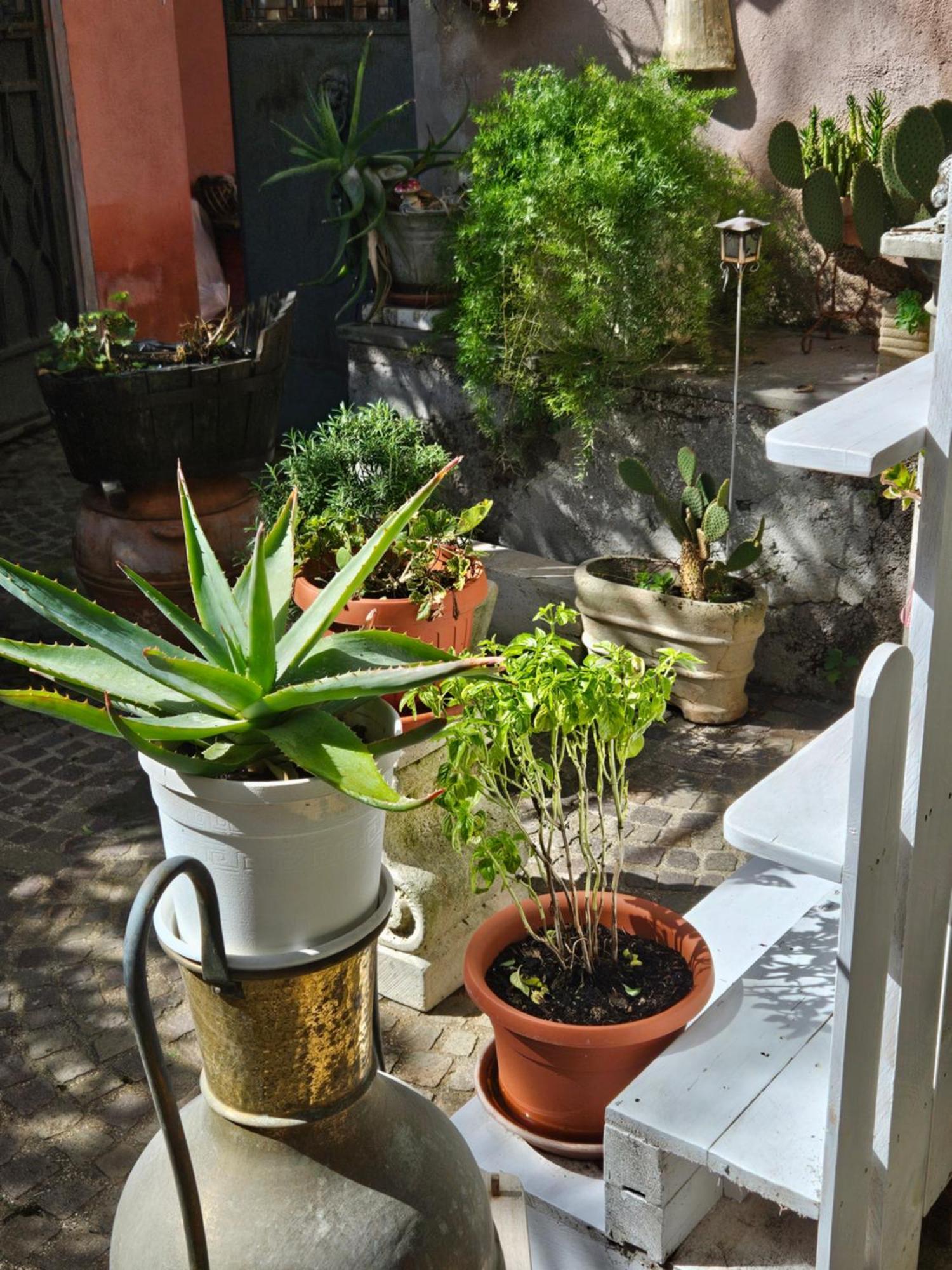 L' Antico Lavatoio Bed and Breakfast Rignano Flaminio Buitenkant foto