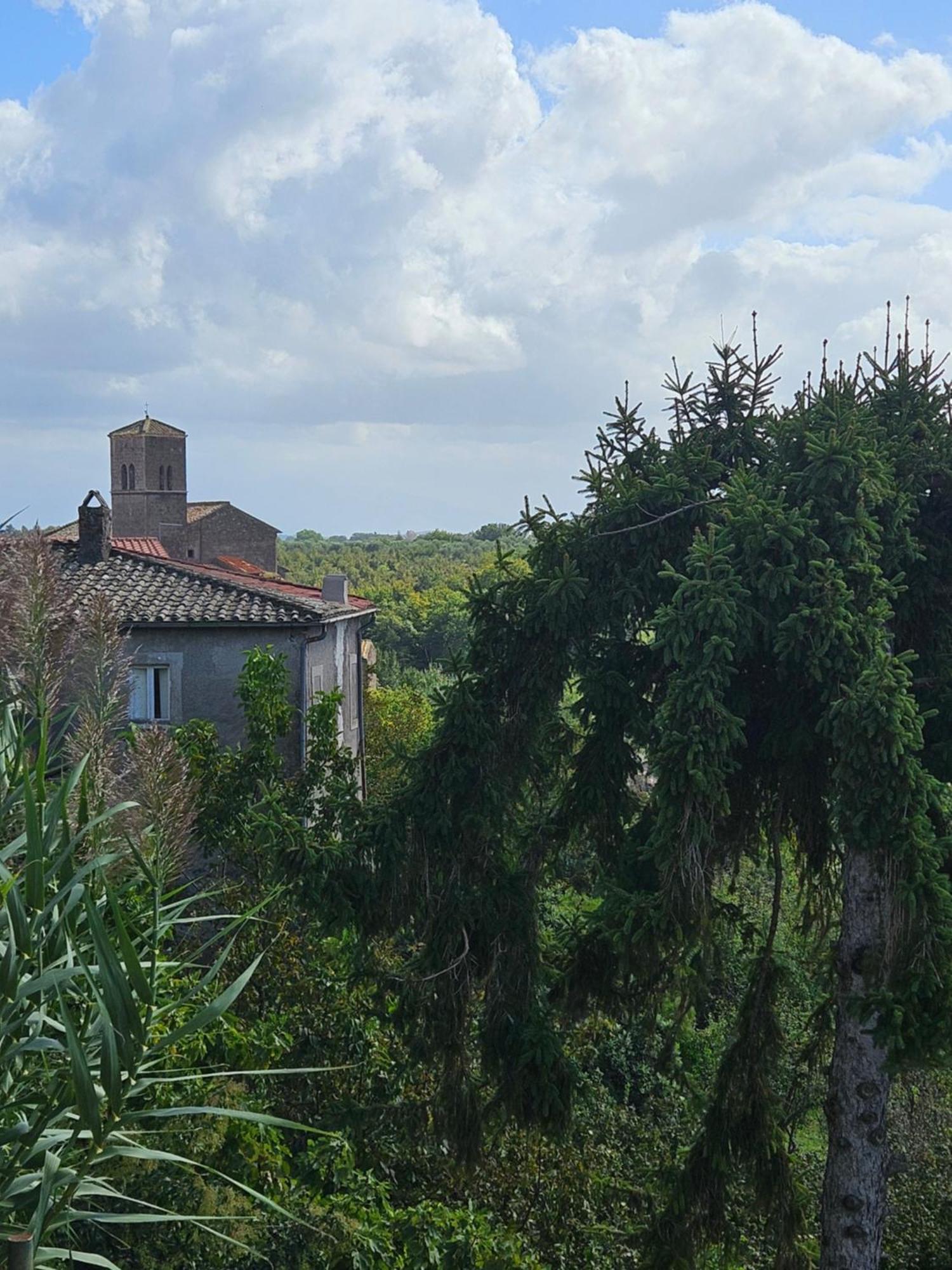 L' Antico Lavatoio Bed and Breakfast Rignano Flaminio Buitenkant foto